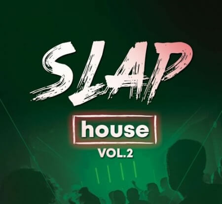 Big Sounds Slap House Volume 2 WAV MiDi Synth Presets
